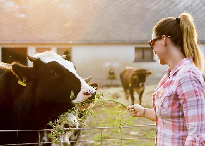 מלון Aphrodite זלקרוס